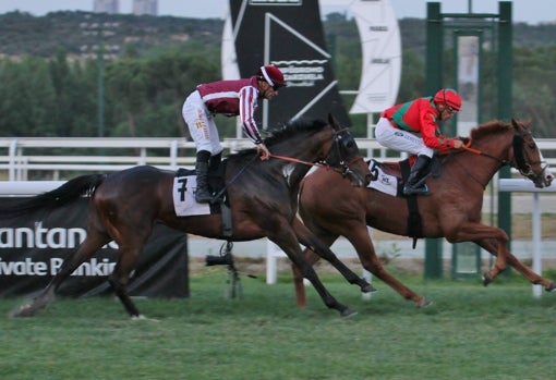 «MACE WINDU» - 6ª CARRERA «PREMIO PREMIER GALOP»