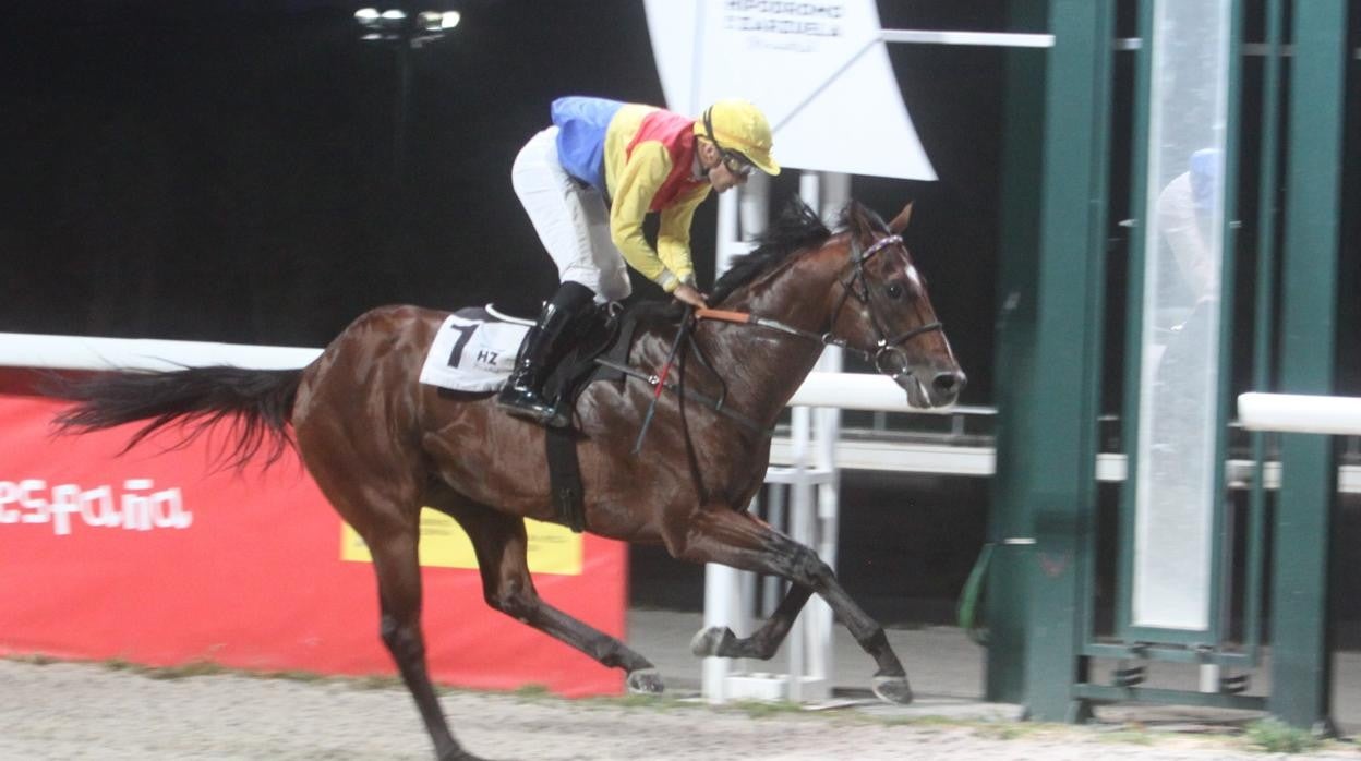 Vincenzo, ganador de la primera carrera, el Premio Tuvalu