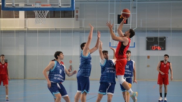 La Universidad de Sevilla se prepara para el europeo de baloncesto