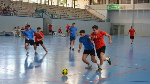 Se abre el plazo de inscripción para poder competir en las competiciones internas de la Universidad de Sevilla