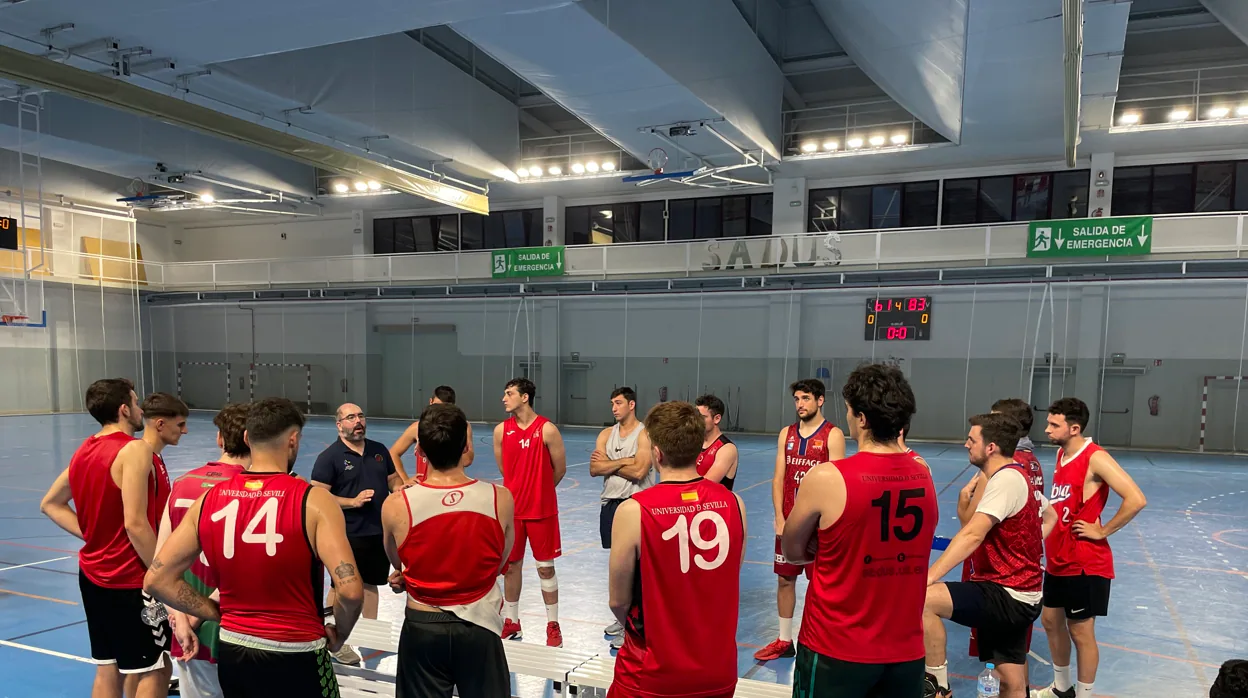 Equipo de baloncesto masculino de la Universidad de Sevilla