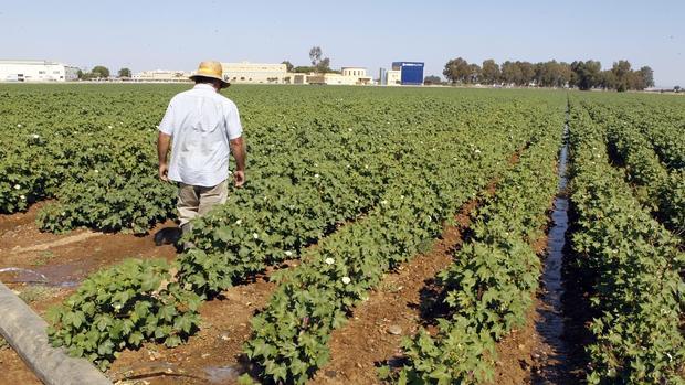 Un agricultor trabaja en una explotación de regadío