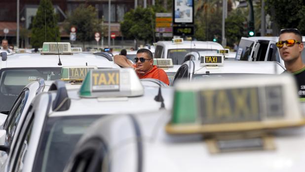 El sector del taxi contará con una gigantesca aplicación