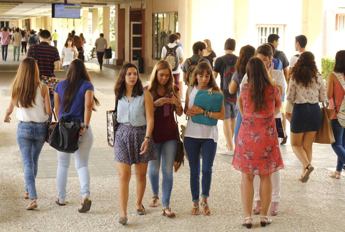 Estudiantes en una universidad de Sevilla