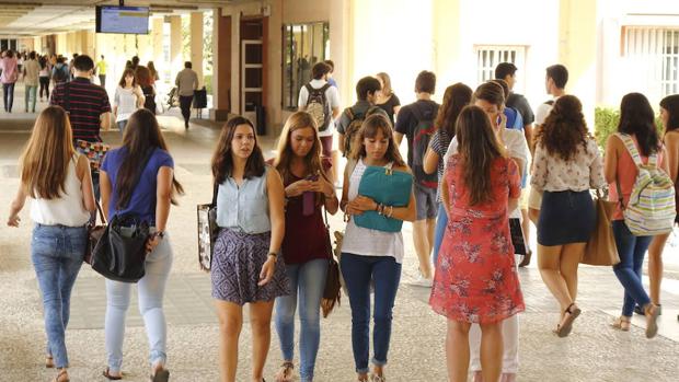 Estudiantes en una universidad de Sevilla