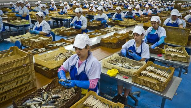 Trabajadoras de la fábrica conservera de pescado Usisa en Isla Cristina (Huelva)
