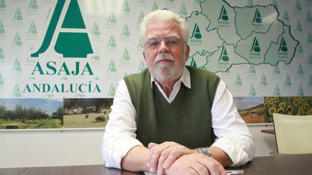 Ricardo Serra, presidente de Asaja Sevilla