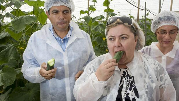 Alemania indemnizará a dos empresas andaluzas por la crisis del pepino