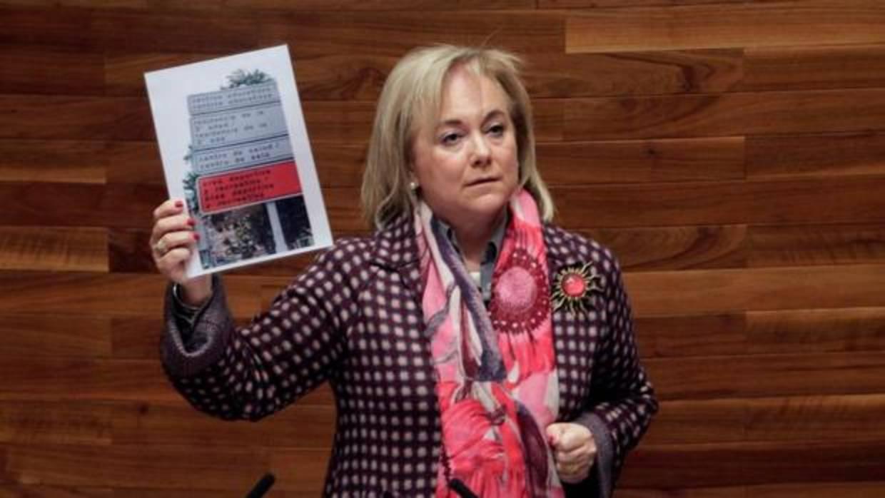 La presidenta del PP de Asturias, Mercedes Fernández