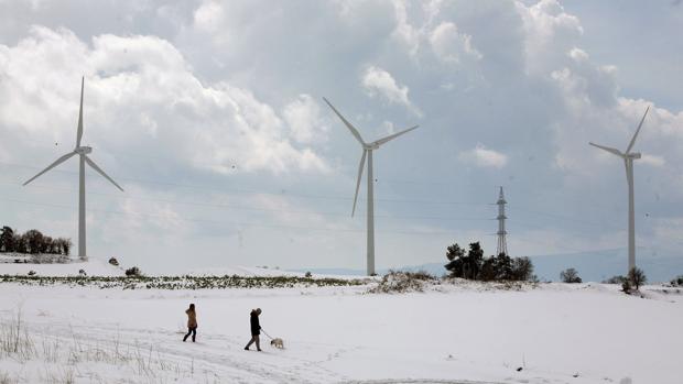 Primera compra colectiva de energía verde