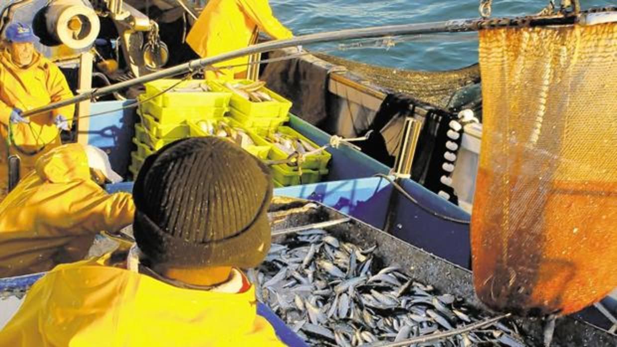 El futuro del sector pesquero español y marroquí, pendiente de Europa