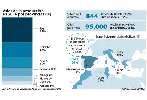 ¿El mercado mundial podrá absorber el crecimiento del olivar?