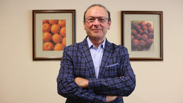 «En un año se ha arrancado el 20% del frutal de hueso de Sevilla y Huelva»