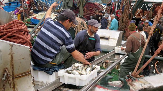 La UE y Marruecos logran cerrar su acuerdo sobre pesca