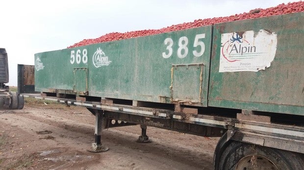 Conesa deja a productores con la mitad del tomate contratado tirado en el campo en Andalucía