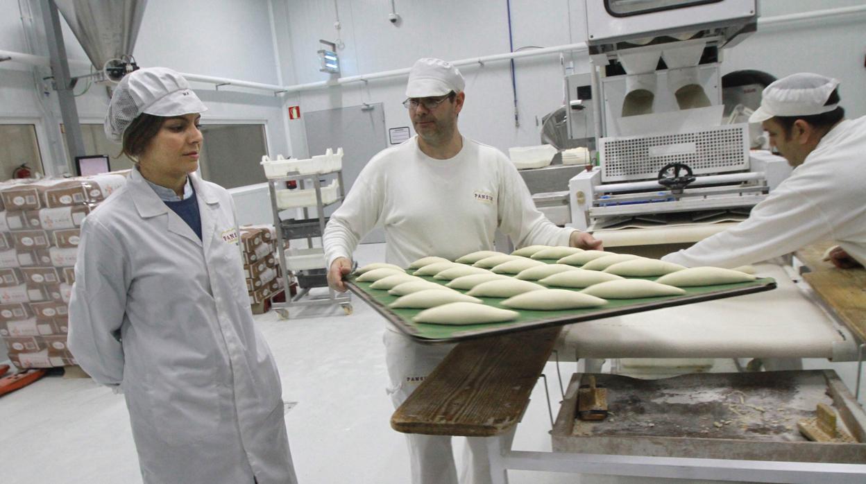 Fábrica de pan congelado de Pansur en Dos Hermanas