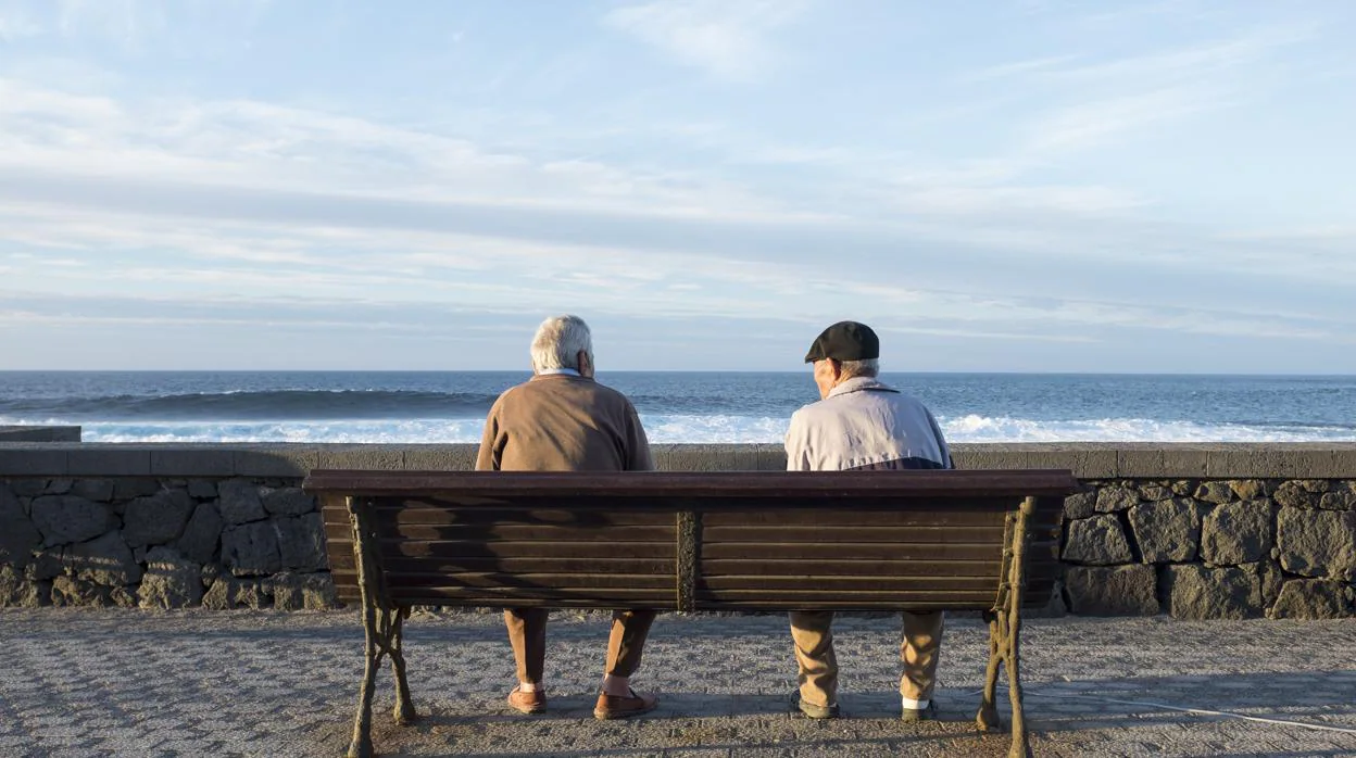 El número de pensiones se ha incrementado en noviembre un 1,1% respecto a hace un año, hasta 9.675.138 pensiones