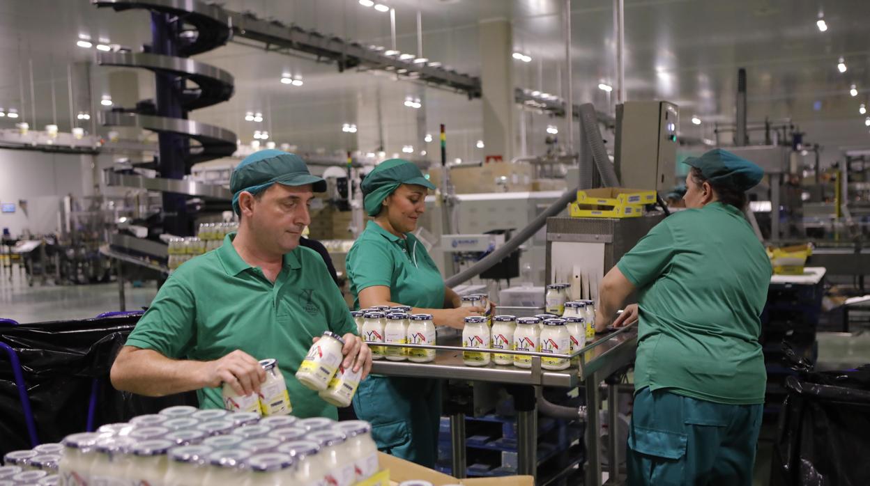 Trabajadores de Ybarra en la nave de las mayonesas