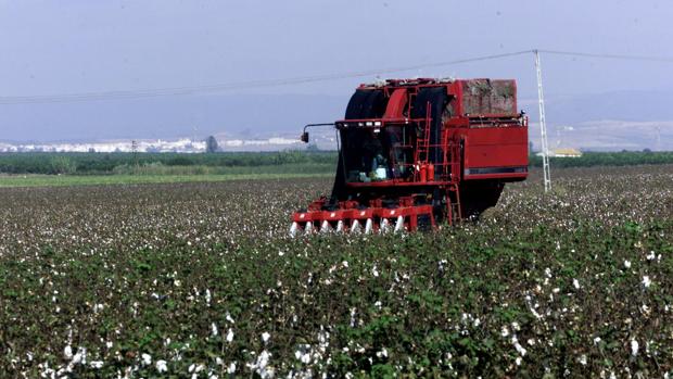 Jornadas en Sevilla sobre la reforma de la PAC y los nuevos retos para el sector agrario