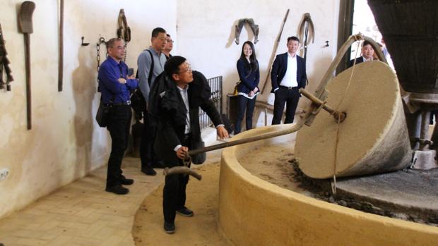 Dirigentes chinos visitan Sevilla atraídos por su aceite de oliva