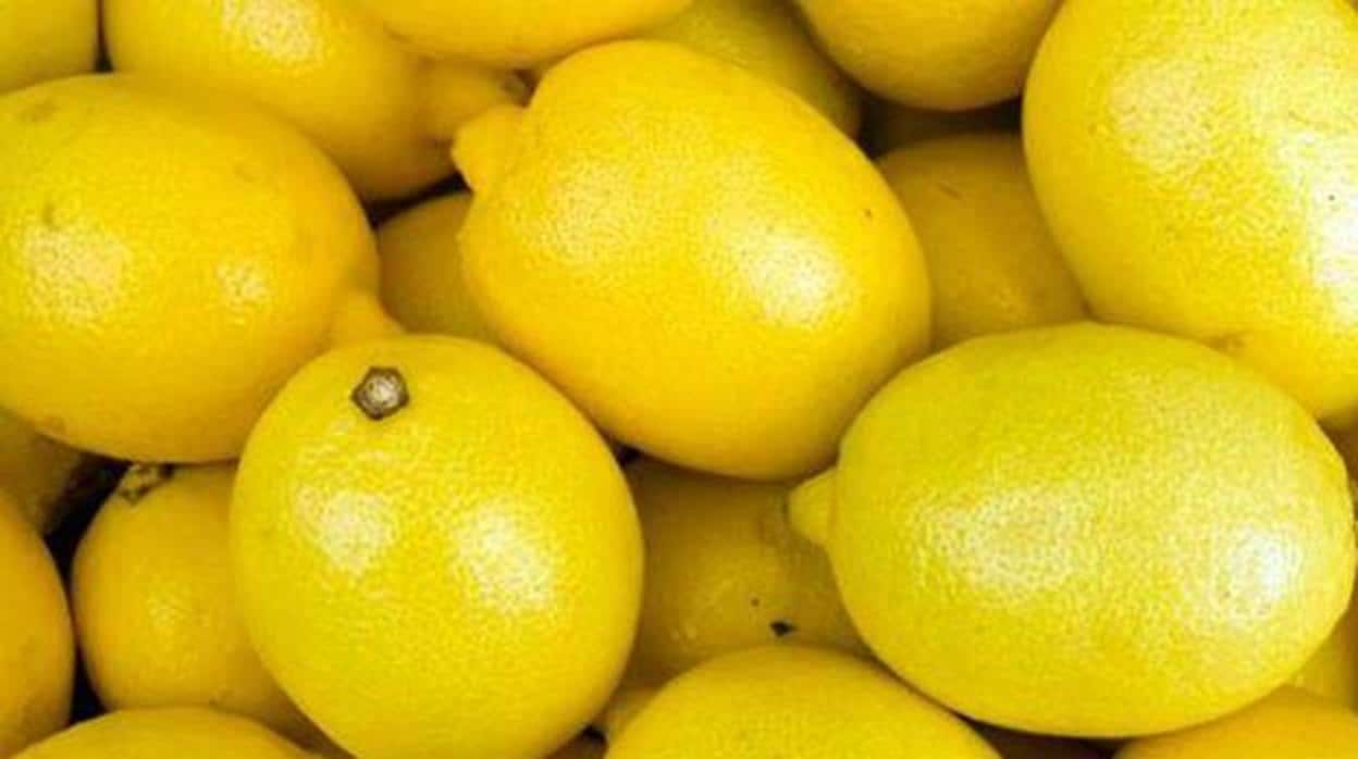 Limones maduros para su consumo