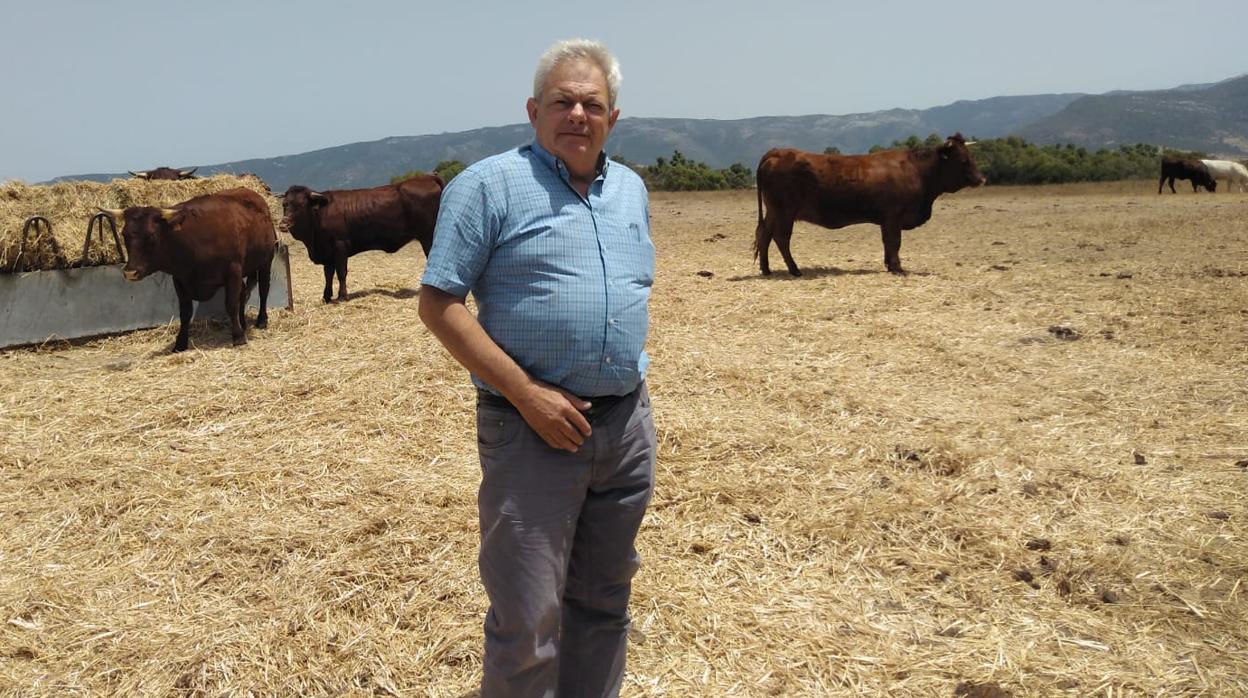 Luis Felipe Cervera, presidente de la Asociación Nacional de Criadores de Ganado Selecto de Raza Retinta