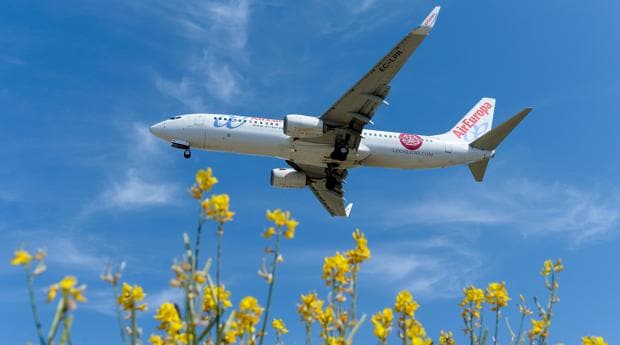 Hidalgo (Globalia) asegura que Air Europa operará «de forma separada» dentro de IAG