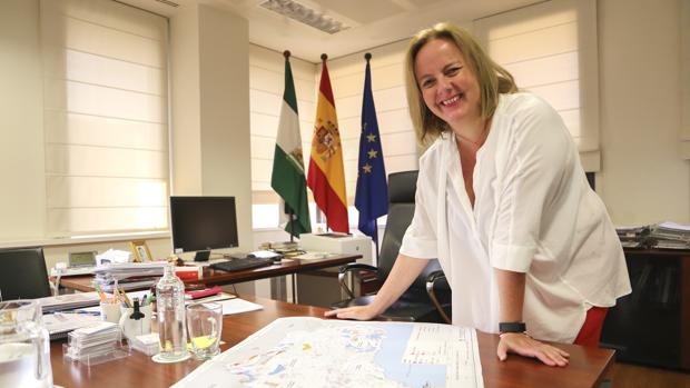 Dimite la secretaria general de Industria, Energía y Minas de la Junta de Andalucía