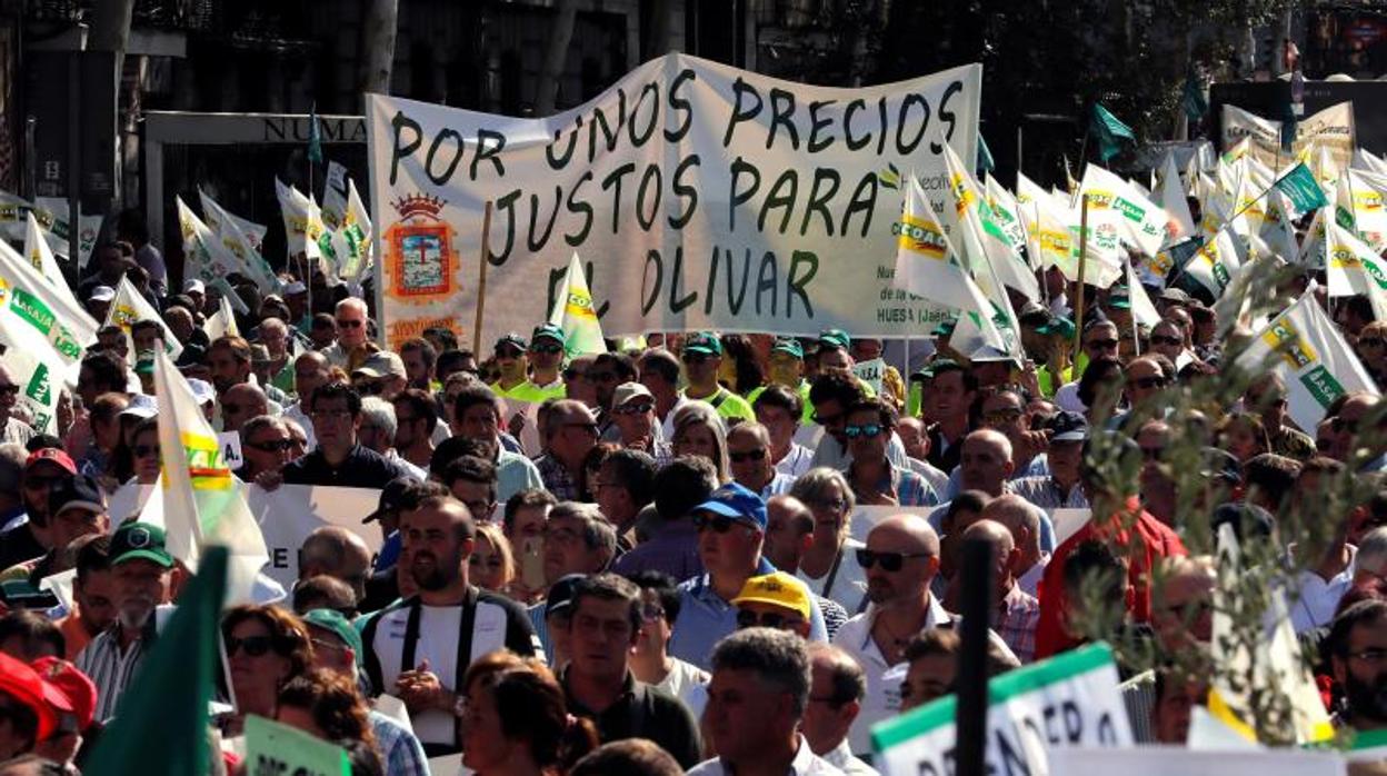 Protesta de olivareros el pasado octubre en Madrid