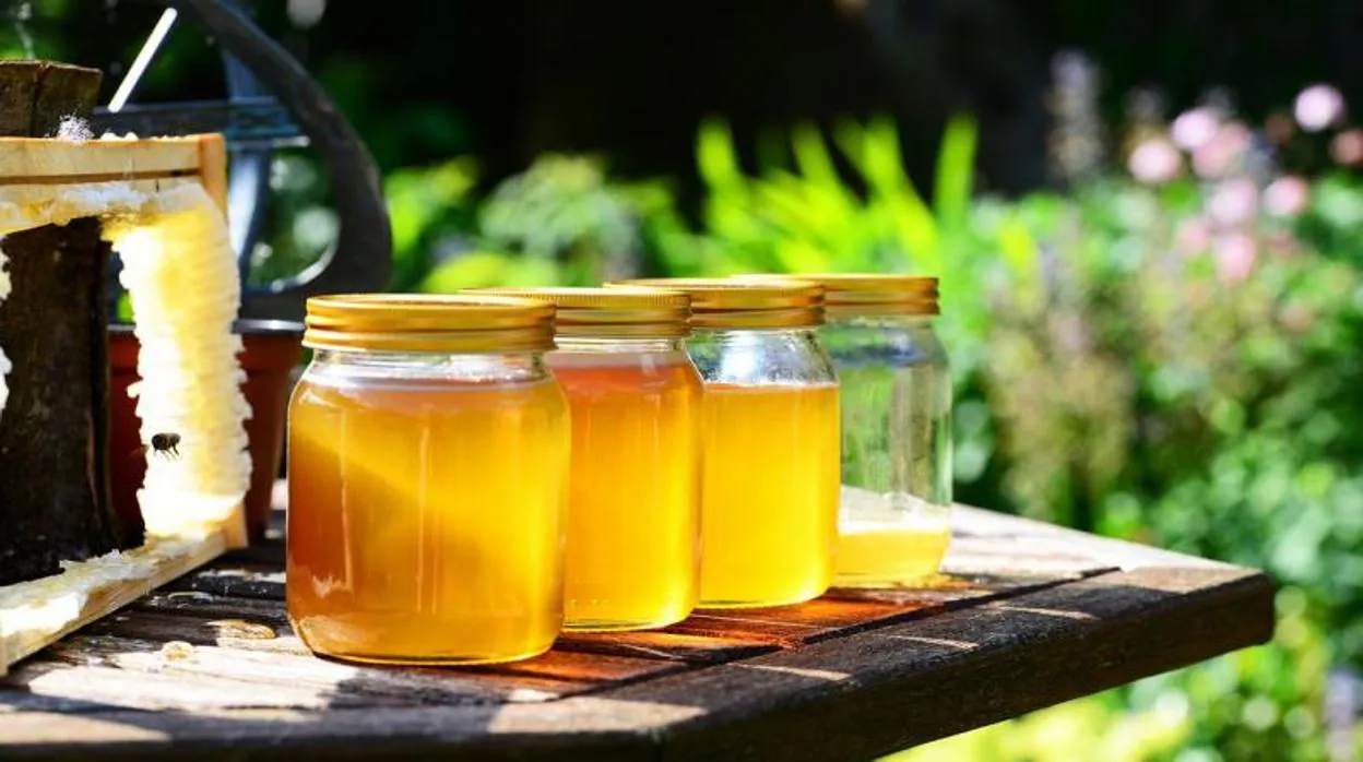Las etiquetas seguirán indicando que la miel es europea aunque el 99% proceda de China y esté adulterada