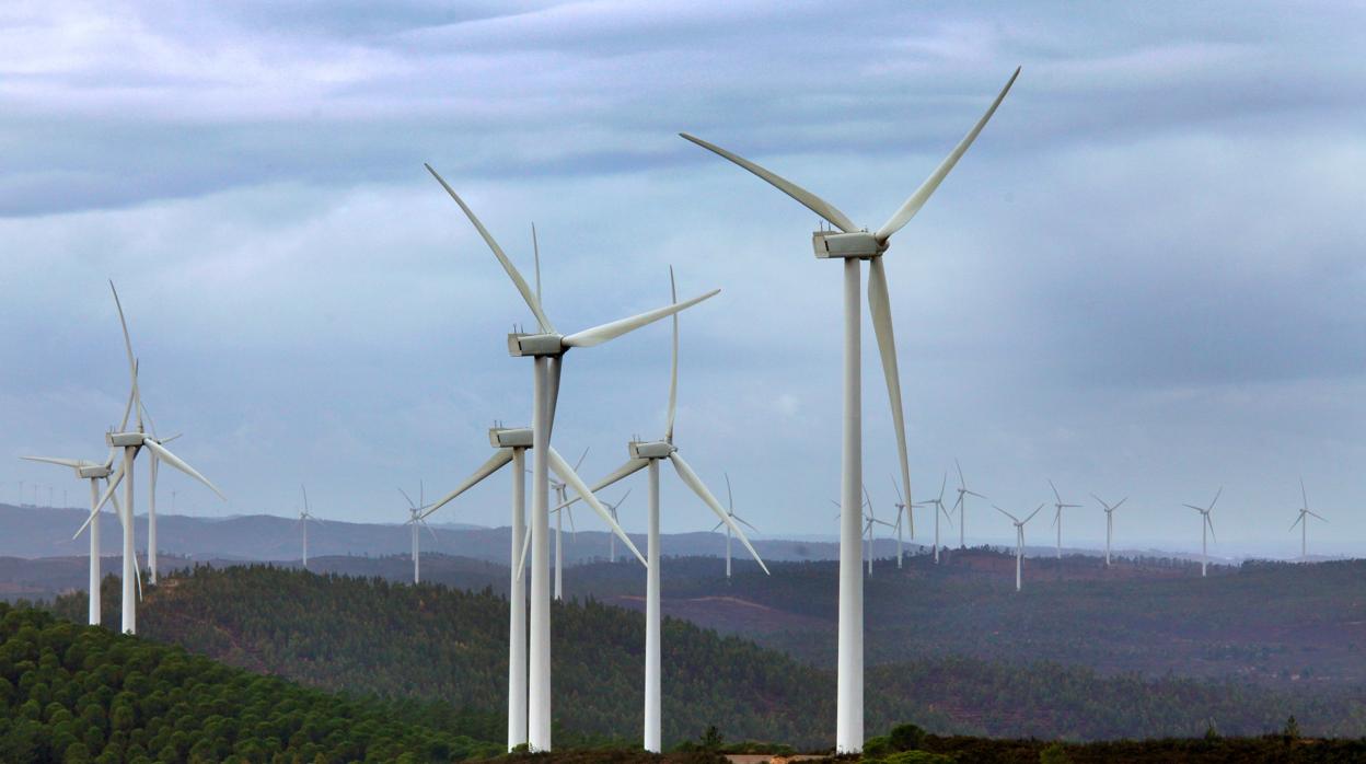 Iberdrola duplicará su capacidad en renovables en Andalucía con otros 1.000 megavatios