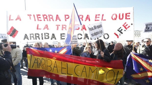 «Los del campo llevamos en crisis 40 años, reivindicamos precios justos»