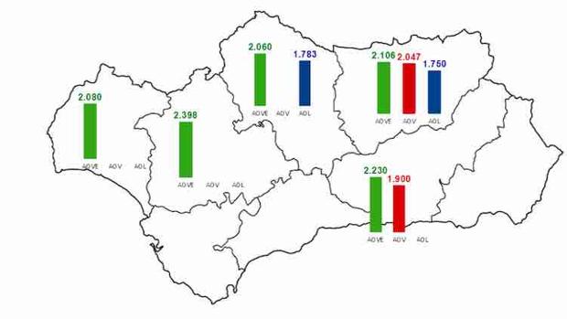 Aceite de oliva: confirmado, suben los precios de todas las categorías