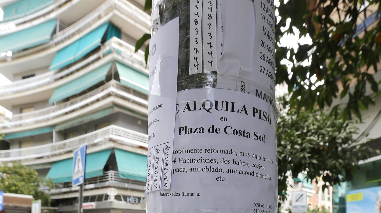 Anuncios de alquileres en una calle de Córdoba