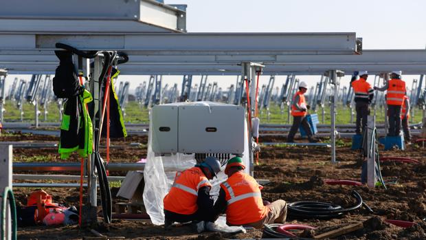 Prodiel instala 600 megavatios de fotovoltaica en Alcalá de Guadaíra