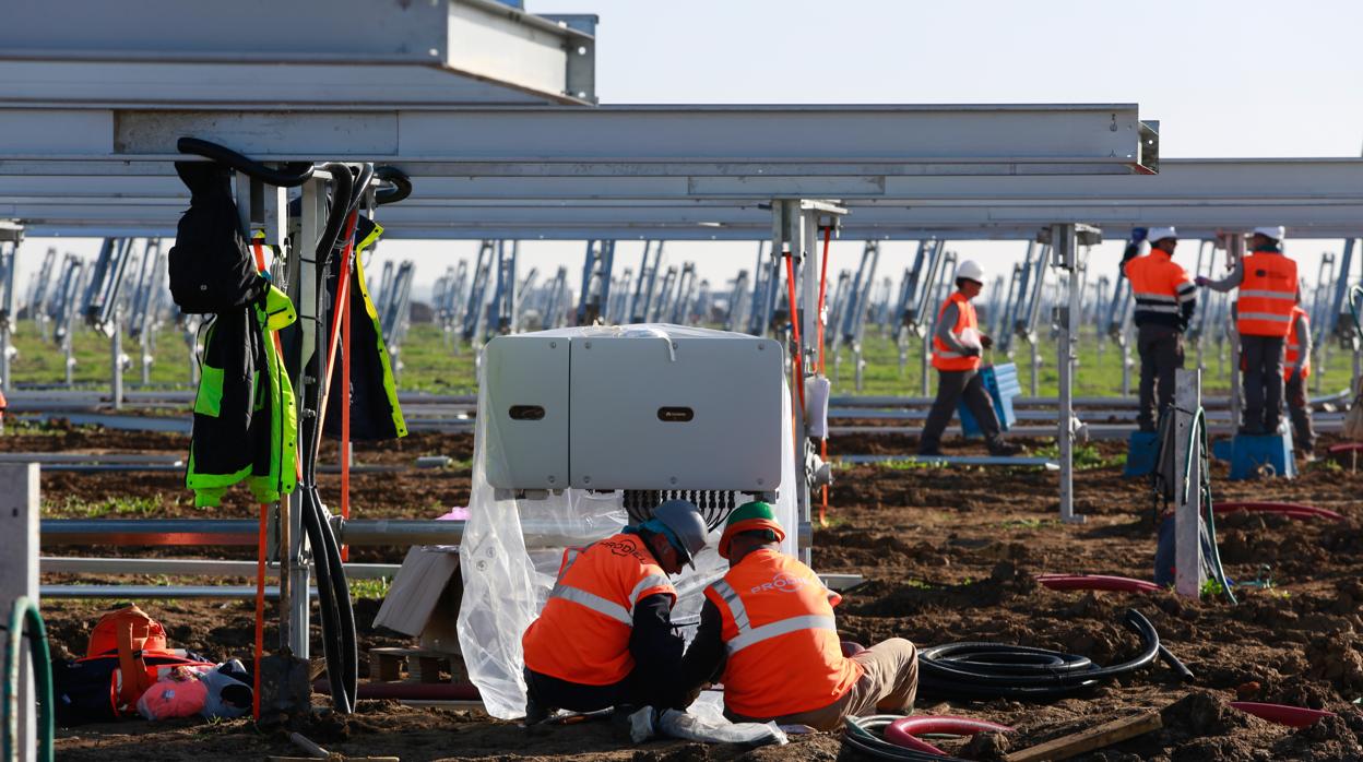 Operarios de Prodiel construyendo la planta solar de Cabrera Solar, en Alcalá de Guadaíra, con 200 megavatios