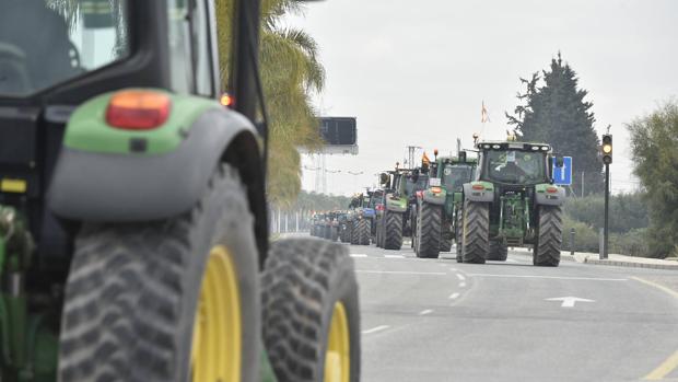 Así será la multitudinaria tractorada del campo sevillano que reunirá a miles de agricultores