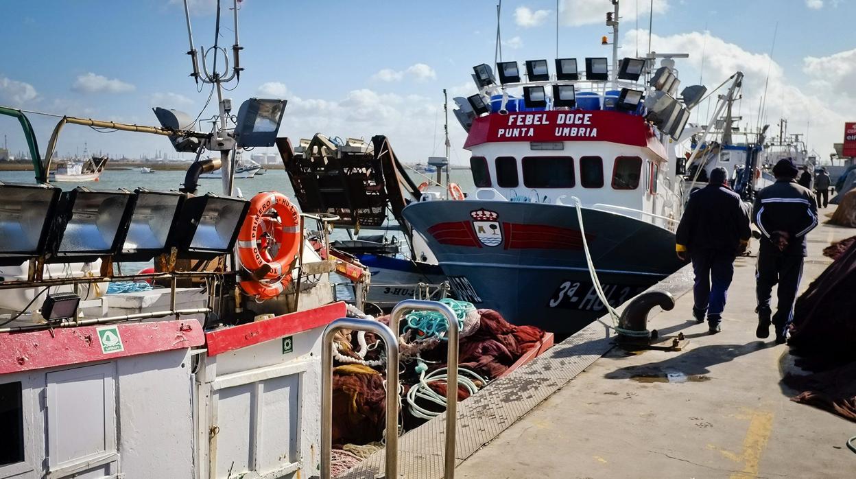 El sector pesquero español lanza un SOS a la UE y alerta contra la caída de precios en algunos pescados