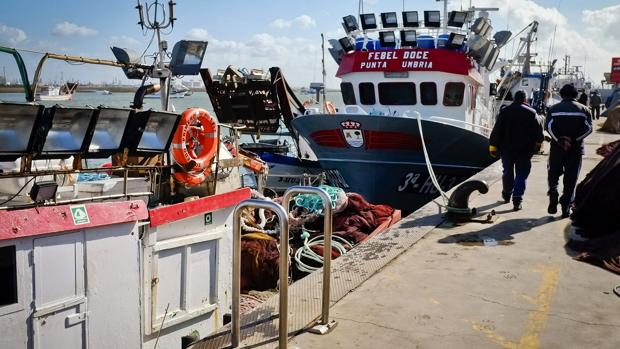 El sector pesquero español lanza un SOS a la UE y alerta contra la caída de precios en algunos pescados