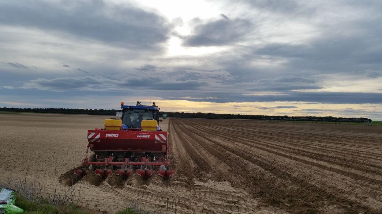 Agricultura y ganadería: la vida donde no se puede teletrabajar