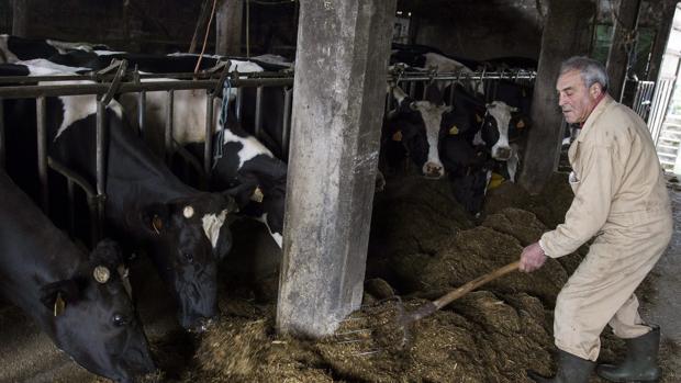 La España que no para por el coronavirus