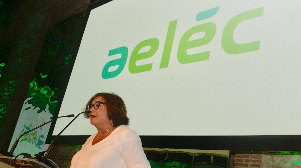 Marina Serrano, presidenta de la asociación de empresas eléctricas