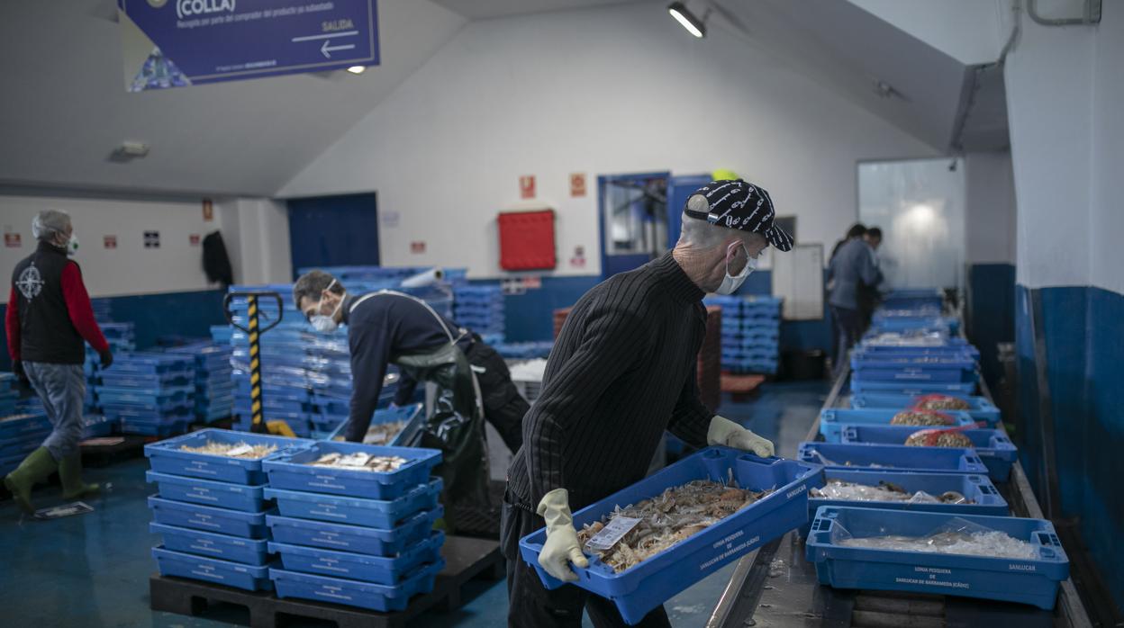 Trabajadores de la lonja clasifican los productos para los distintos clientes una vez subastados