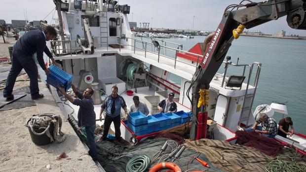 Cepesca pide prolongar hasta diciembre las ayudas a la flota