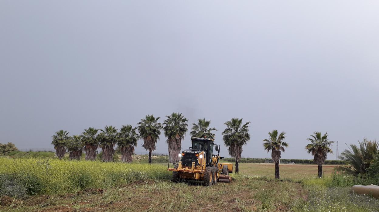 Una máquina excavadora prepara el terreno donde se levantará el parque solar «Los Naranjos»