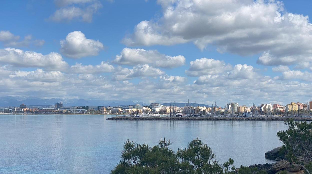 «Nos espera un verano con una temporada turística atípica, muy breve, pero, a la vez, muy intensa», ha concretado el CEO de Palma Beach