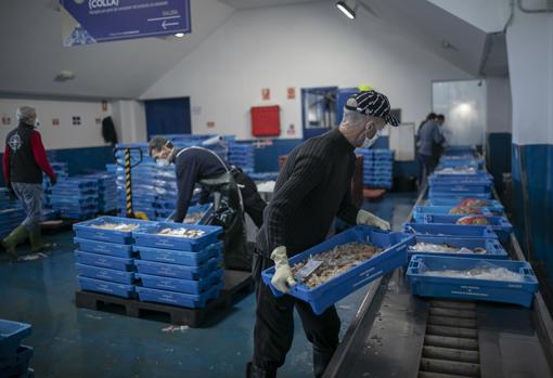 Trabajadores de la lonja pesquera de Sanlúcar de Barrameda