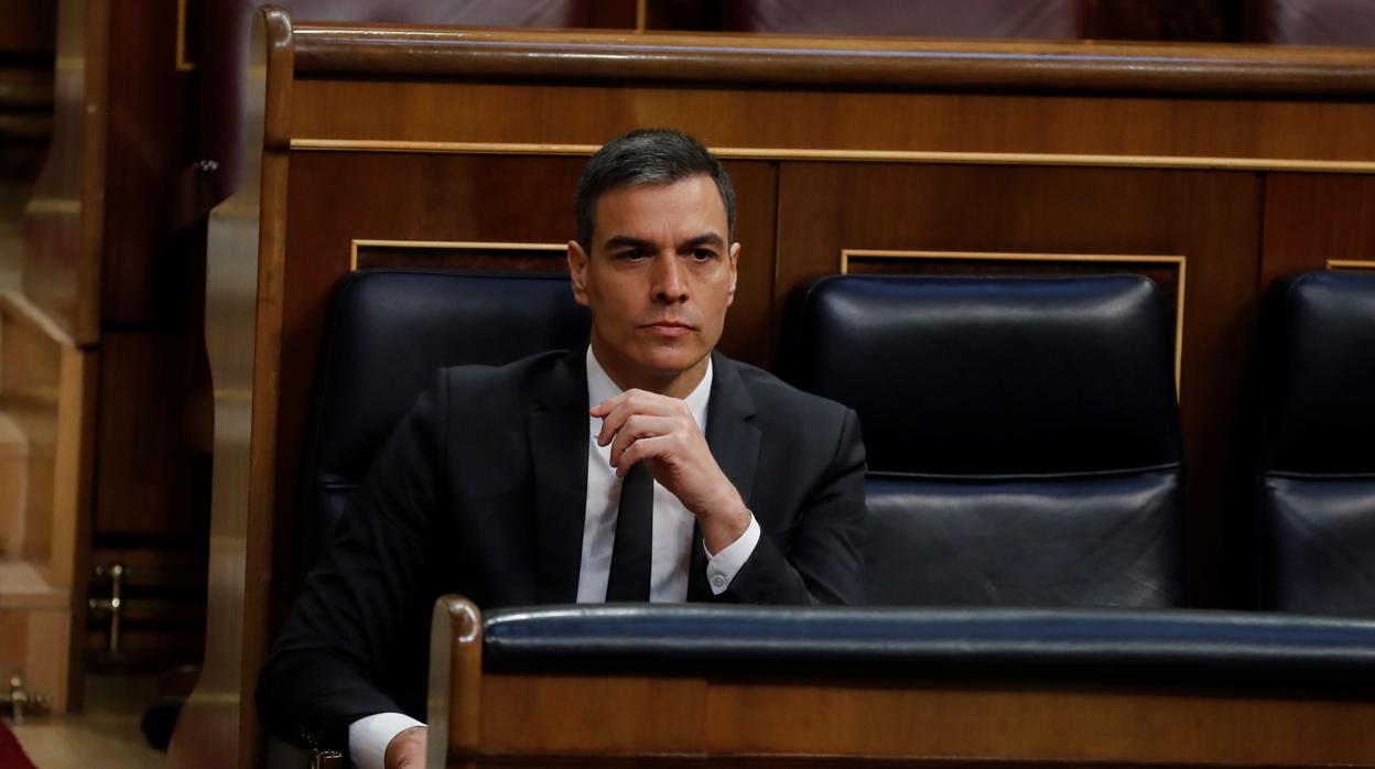 Pedro Sánchez, presidente del Gobierno