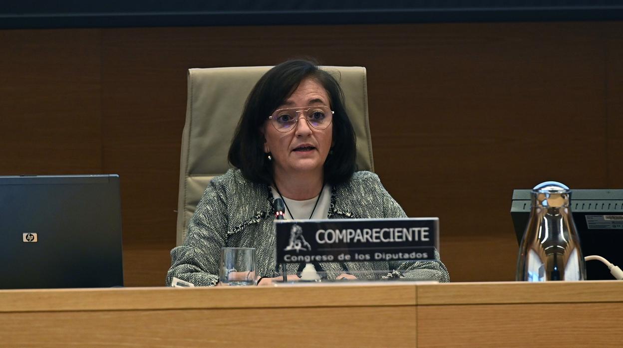 La presidenta de la Autoridad Independiente de Responsabilidad Fiscal (AIReF), Cristina Herrero, durante su comparecencia en la Comisión de Hacienda del Congreso