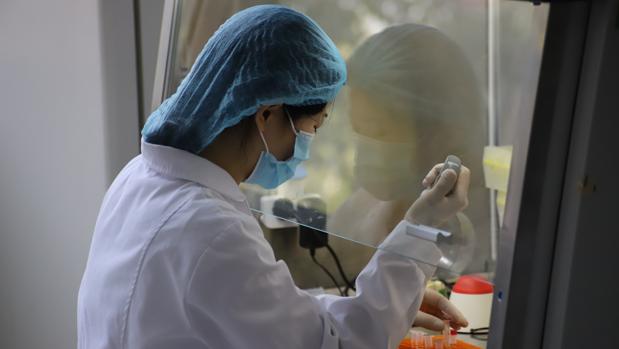 No solo de mascarillas vive la industria sanitaria china